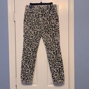 Loft Cheetah Pants 🐆